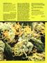 Page: - 49 | High Times
