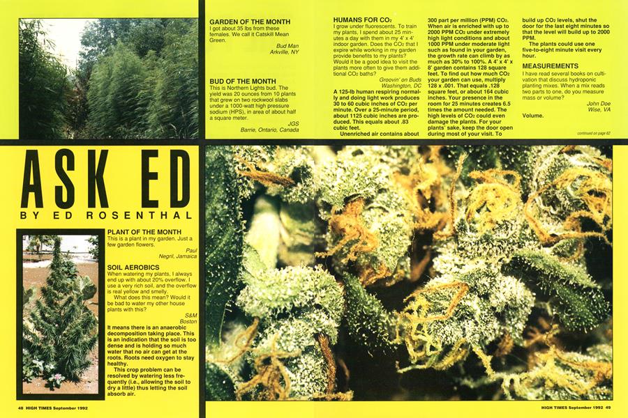 ASK ED