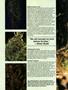 Page: - 48 | High Times