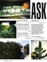 Page: - 50 | High Times