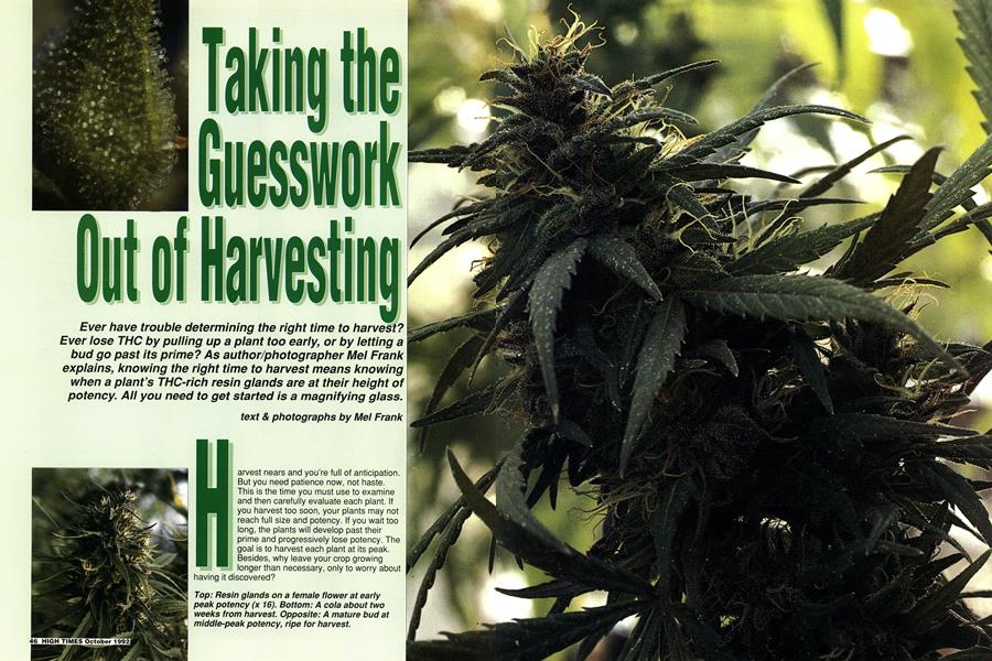Taking the Guesswork Out of Harvesting