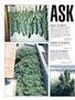 Page: - 68 | High Times