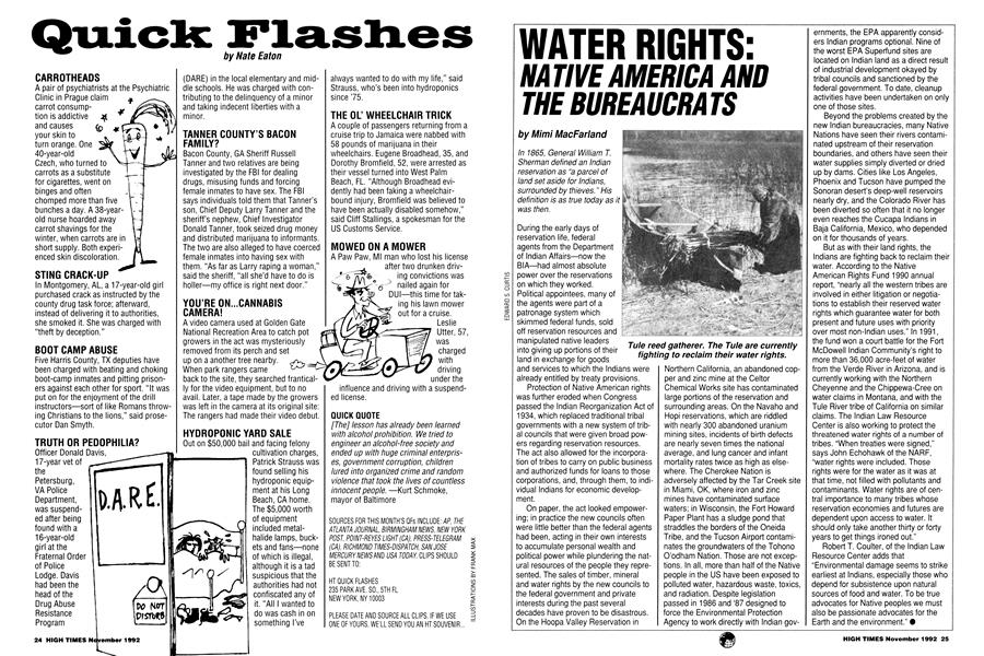 Quick Flashes