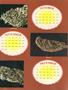 Page: - 45d | High Times