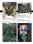 Page: - 68 | High Times