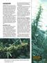 Page: - 74 | High Times