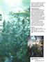 Page: - 75 | High Times