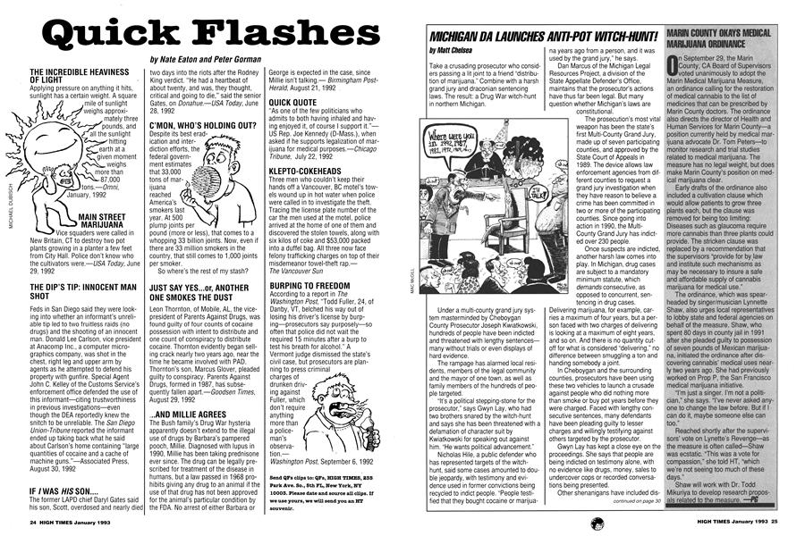 Quick Flashes