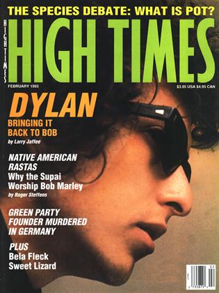 FEBRUARY 1993 | High Times