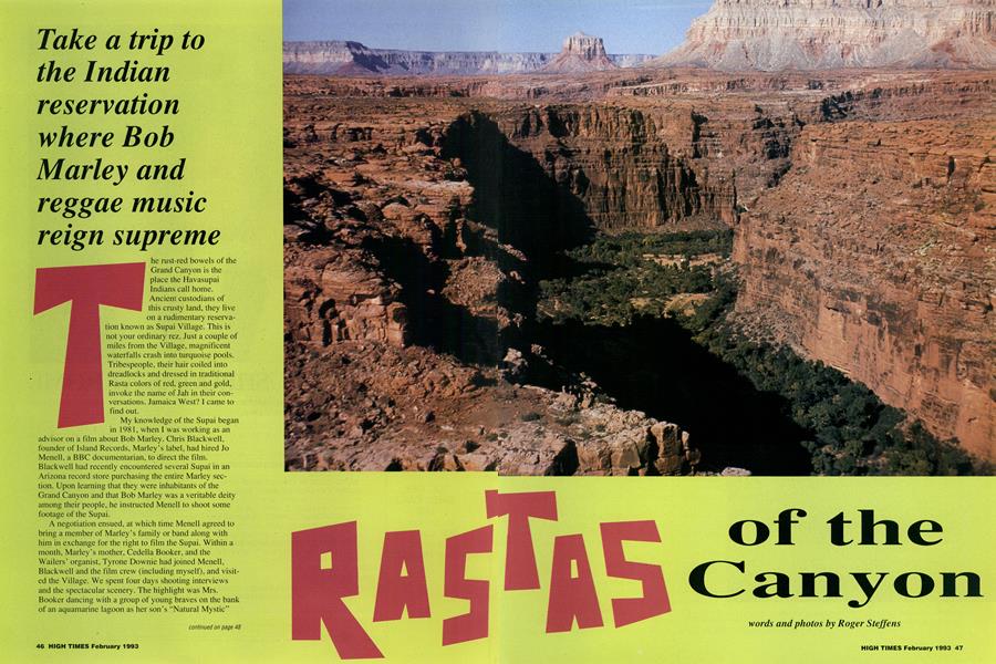 RASTAS of the Canyon