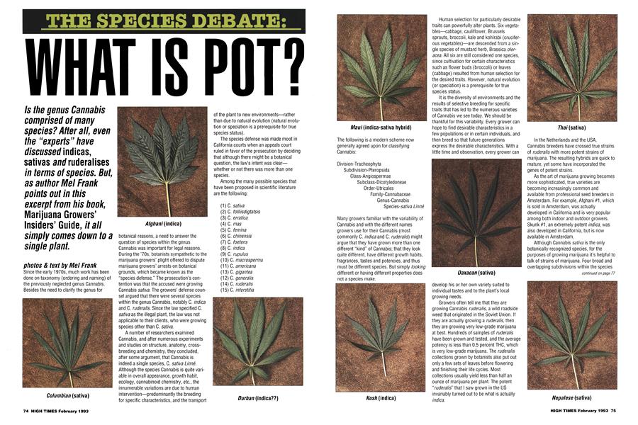 WHAT IS POT?
