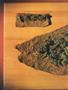Page: - 42 | High Times
