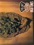 Page: - 43 | High Times