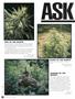 Page: - 68 | High Times