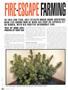 Page: - 74 | High Times