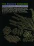 Page: - 42 | High Times