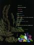 Page: - 43 | High Times