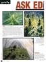 Page: - 68 | High Times
