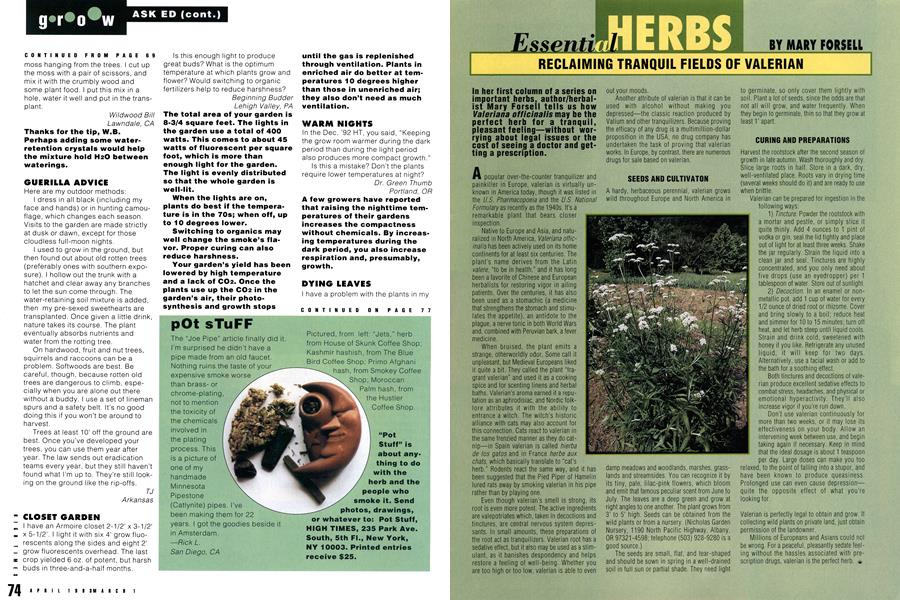 Essential HERBS