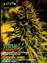 Page: - 67 | High Times