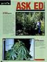 Page: - 68 | High Times