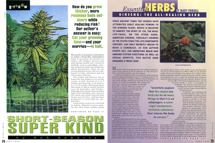Essential HERBS