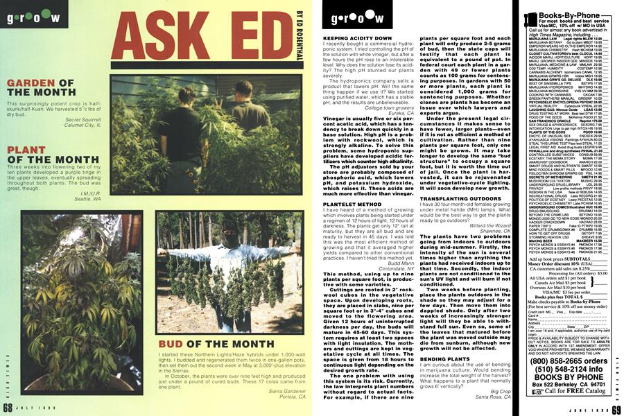 ASK ED