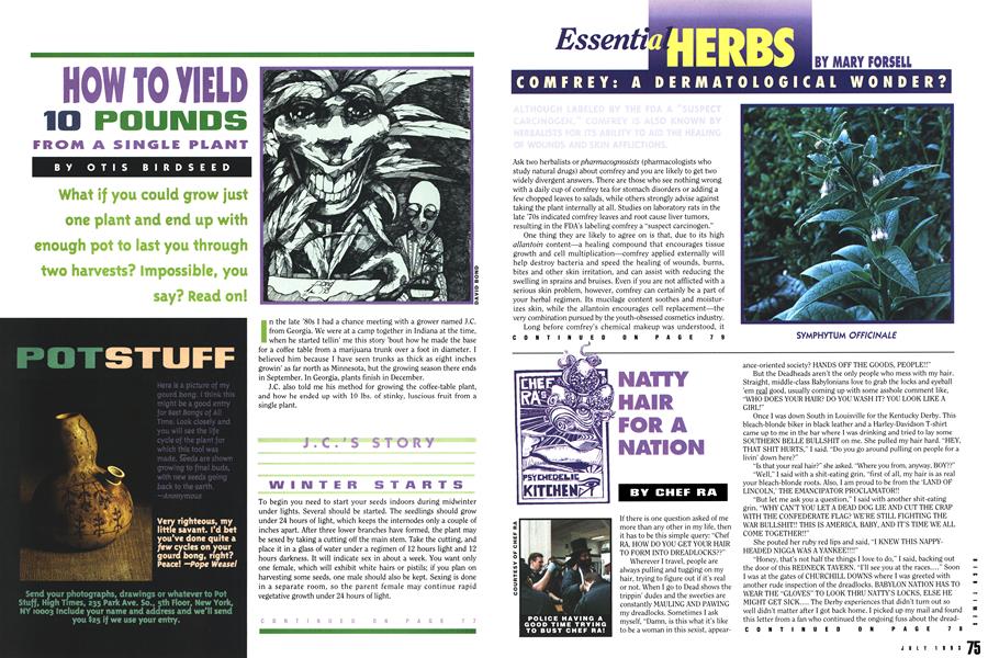COMFREY: A DERMATOLOGICAL WONDER?