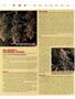 Page: - 39 | High Times