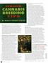 Page: - 40 | High Times