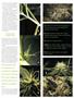 Page: - 75 | High Times