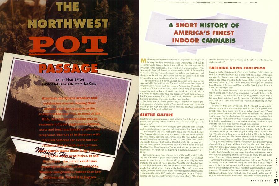 A SHORT HISTORY OF AMERICA'S FINEST INDOOR CANNABIS