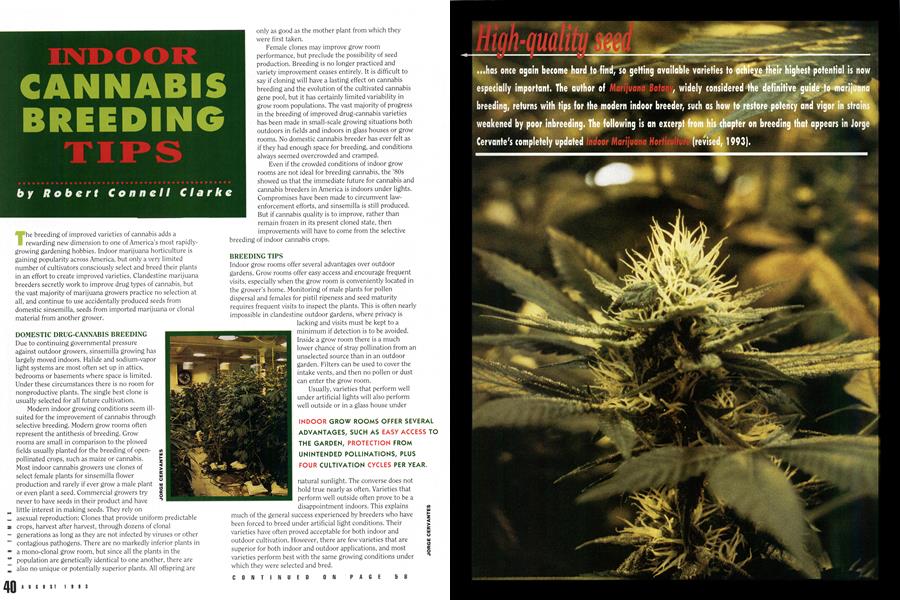 INDOOR CANNABIS BREEDING TIPS