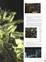 Page: - 71 | High Times