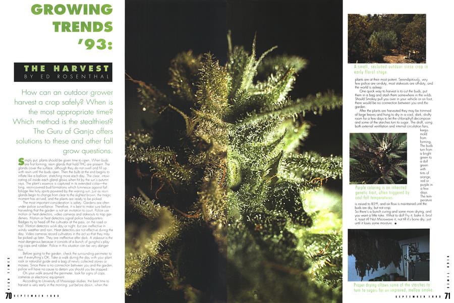 GROWING TRENDS `93: