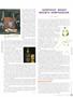 Page: - 11 | High Times