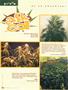 Page: - 74 | High Times