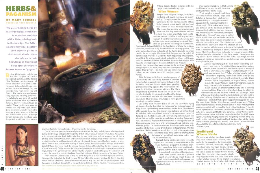 HERBS & PAGANISM | High Times | OCTOBER 1993