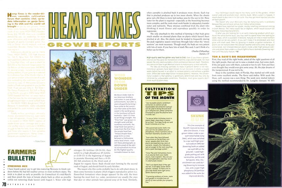 HEMP TIMES