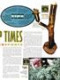 Page: - 71 | High Times