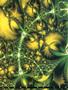Page: - 42 | High Times