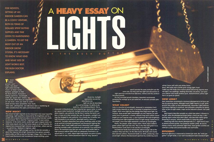 A HEAVY ESSAY ON LIGHTS