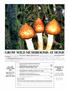 Page: - 44 | High Times