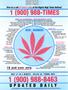 Page: - 3 | High Times