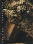 Page: - 42 | High Times