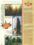 Page: - 74 | High Times