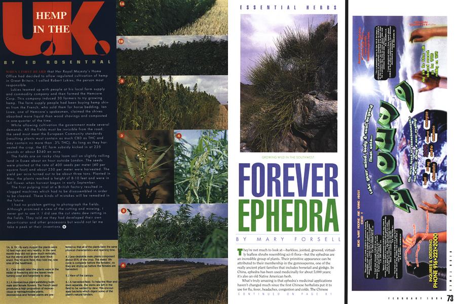 HEMP IN THE U.K.