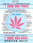Page: - 3 | High Times