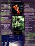 Page: - 4 | High Times