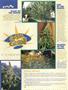 Page: - 74 | High Times